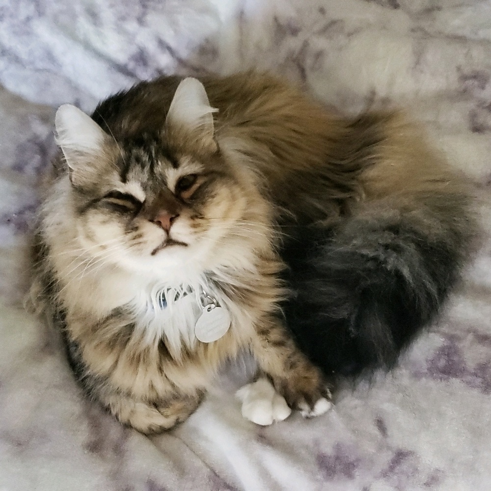 Meet your Posher, Kaitlyn